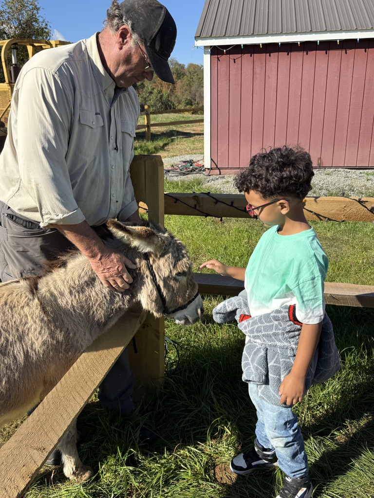 A young boy wearing a mint green shirt and red sunglasses gently pets the nose of a donkey over a wooden fence. An older man in a cap and light-colored shirt stands next to the donkey, also looking at the animal. The scene is bright and grassy.