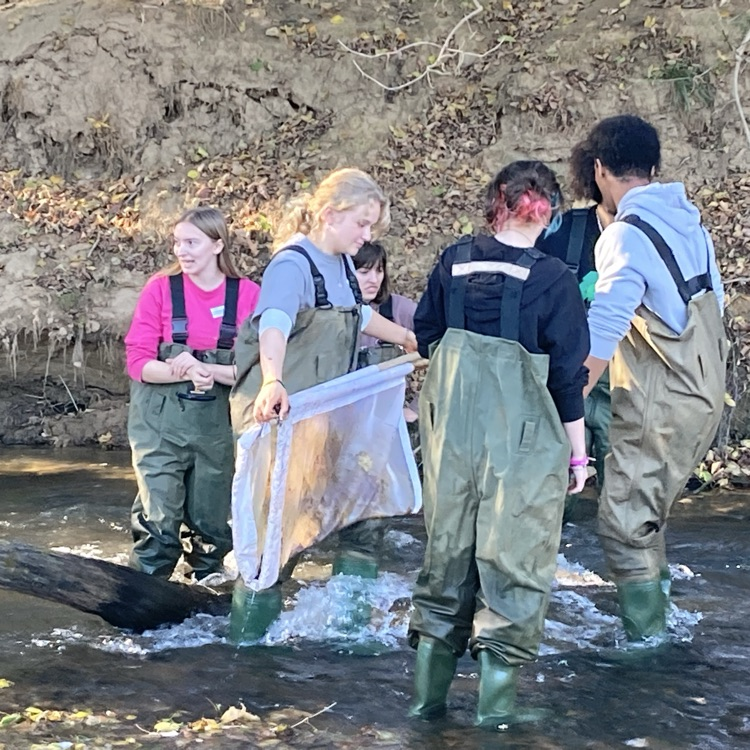 Our Ecology students testing river health with Friends of the Rappahannock.