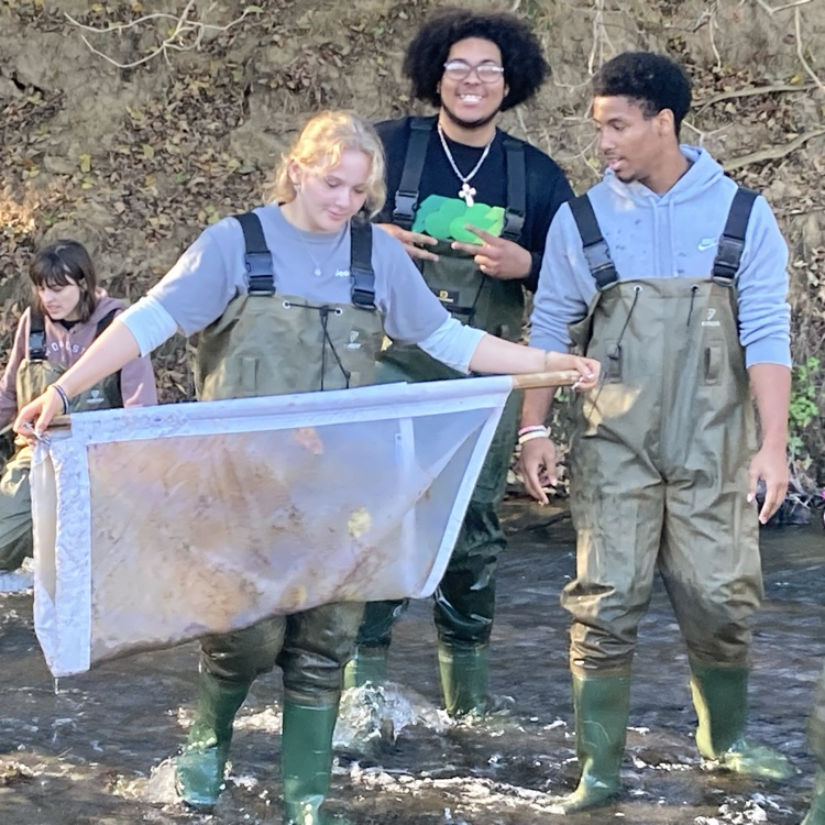 Our Ecology students testing river health with Friends of the Rappahannock.