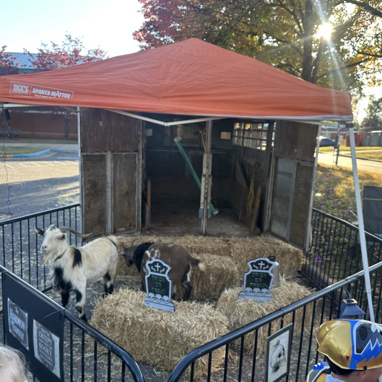 Thanks to our PAC for a great trunk or treat on Friday!  Hay rides and live animals were provided by the Duckwitz family!