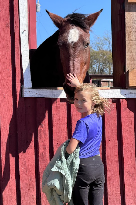 Photo 1: A young girl pets a brown horse with a white marking on its forehead through the window of a red barn while holding her jacket.
