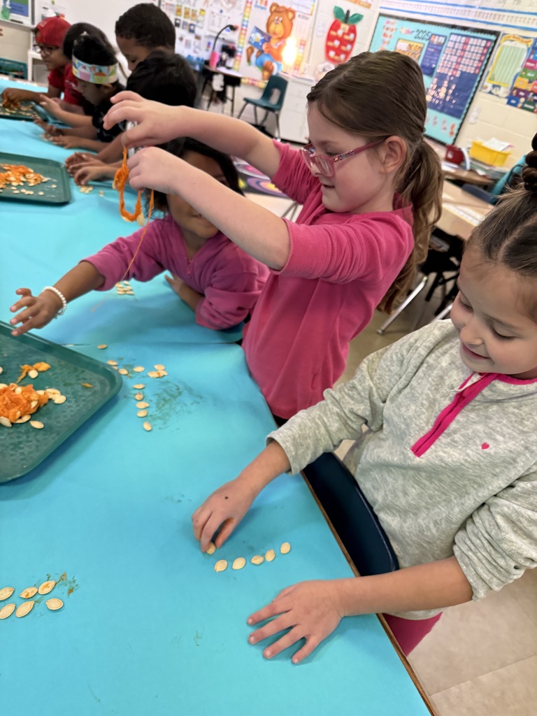 A group of elementary school children, possibly kindergarten or first grade, sitting at a table engaged in a hands-on activity, likely counting pumpkin seeds. A girl in the foreground is focusing intently on the task.