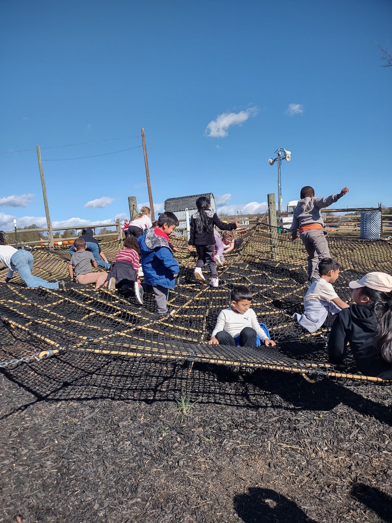 A wide shot of a large group of children actively playing and crawling on a vast, black rope net playground structure under a clear blue sky.