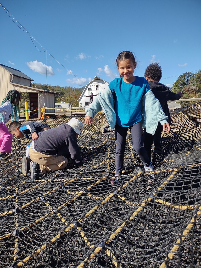 A group of children playing on a large, black rope net structure outdoors on a sunny day. The girl in the foreground, wearing a bright blue shirt, is smiling with her tongue out as she walks across the net, with a white barn visible in the background.