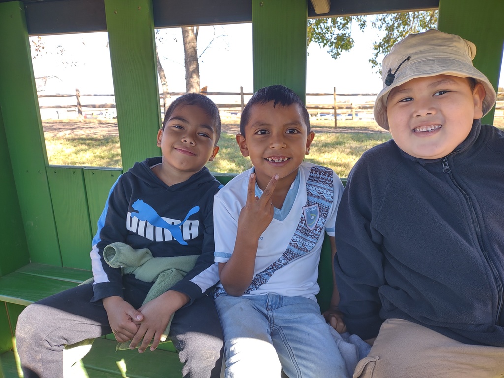 A close-up photo of three young boys sitting together on a green bench, likely on a wagon or ride. They are all smiling at the camera, and the boy in the middle is holding up two fingers in a peace sign.