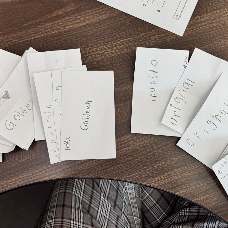 With Election Day tomorrow, Mrs. Childress’s class practiced their voting rights today.   They cast their votes on whether Golden Oreos or Original Oreos were the best. The ballots are in, and the winner is… Golden Oreos! 🍪✨