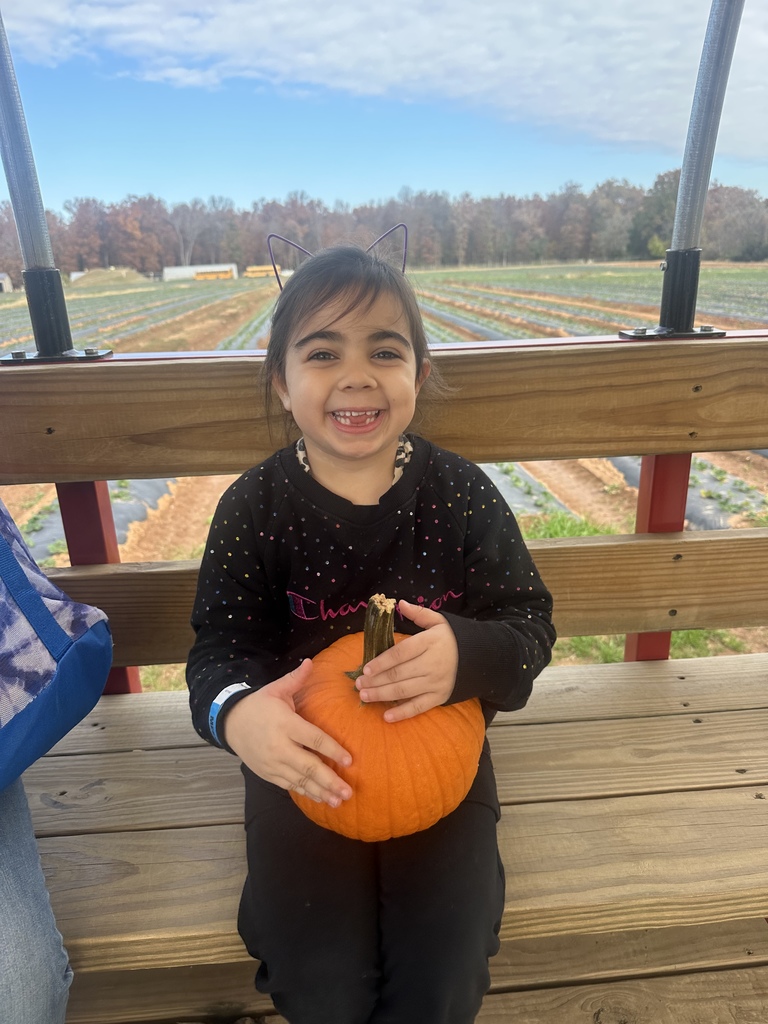 A smiling young girl wearing a black sweatshirt with colorful dots and cat ear headband sits on a wooden bench of a wagon, holding a small orange pumpkin in her lap. Behind her are rows of farm fields and a clear blue sky.