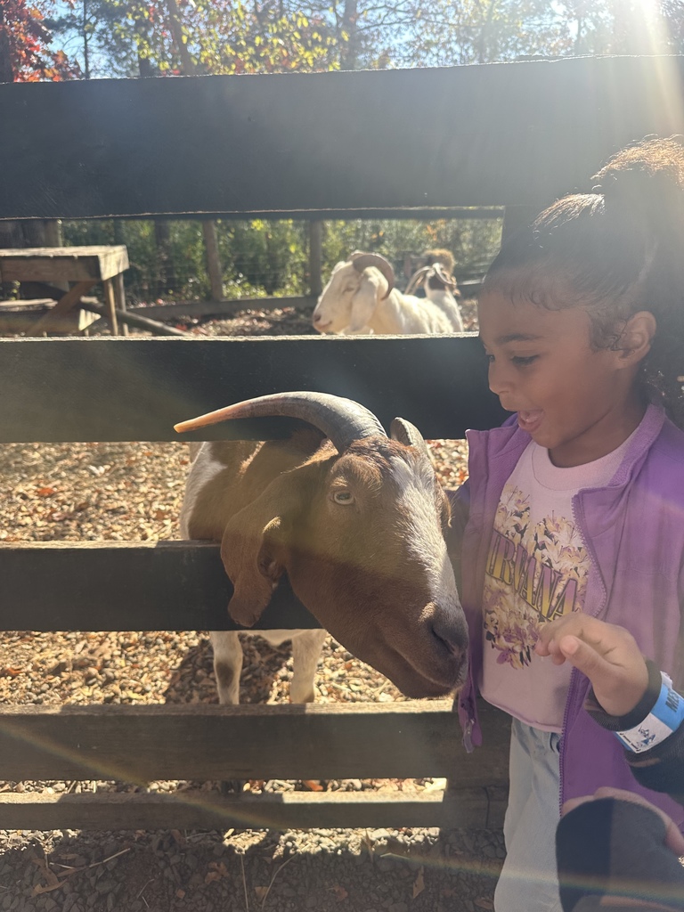 A young girl wearing a light purple jacket and pink shirt leans excitedly toward a brown-and-white goat poking its head through a wooden fence. Sunlight streams through the trees, and other goats are visible in the background.