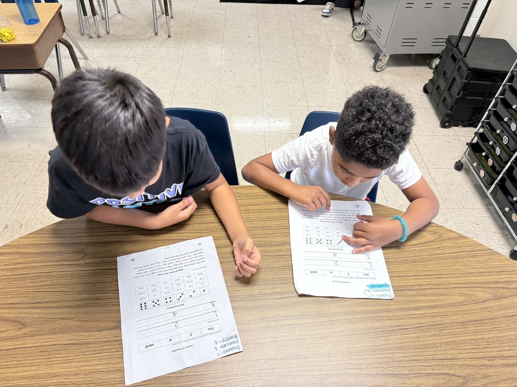 “Two students seated at a round table working on a math worksheet with dice patterns printed on it.”