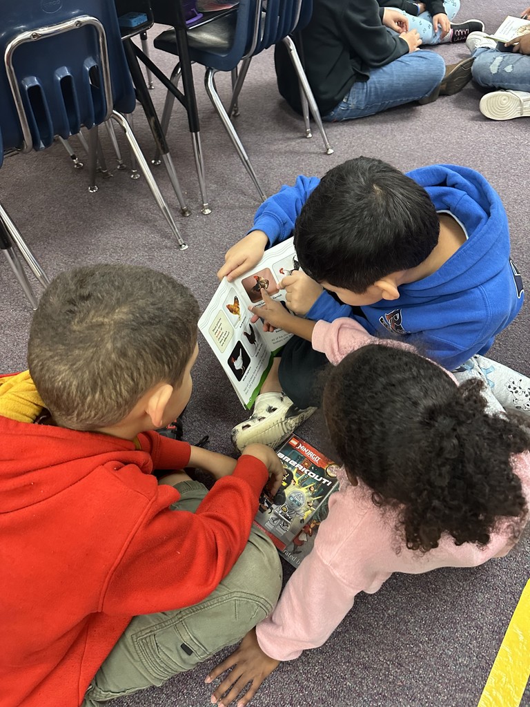 Three students sit in a small group on the classroom floor looking at books together. One student is pointing to a picture while the others watch.