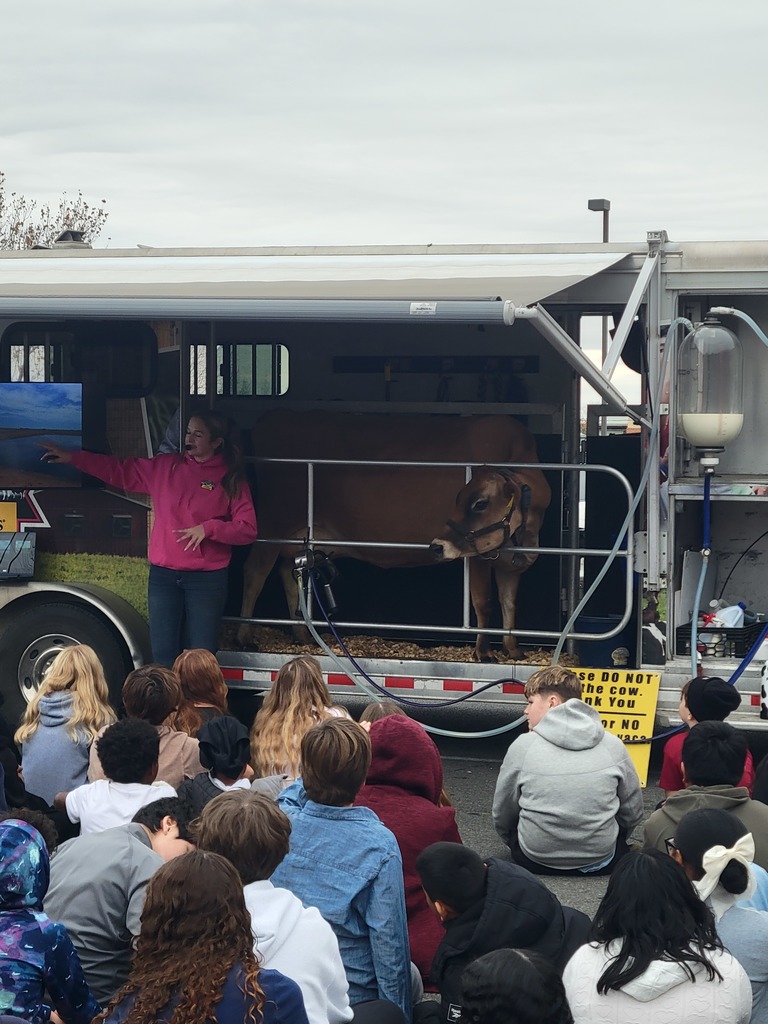 A woman in a pink jacket presents to a seated group of children outside a trailer with a cow inside. The scene is educational and engaging.