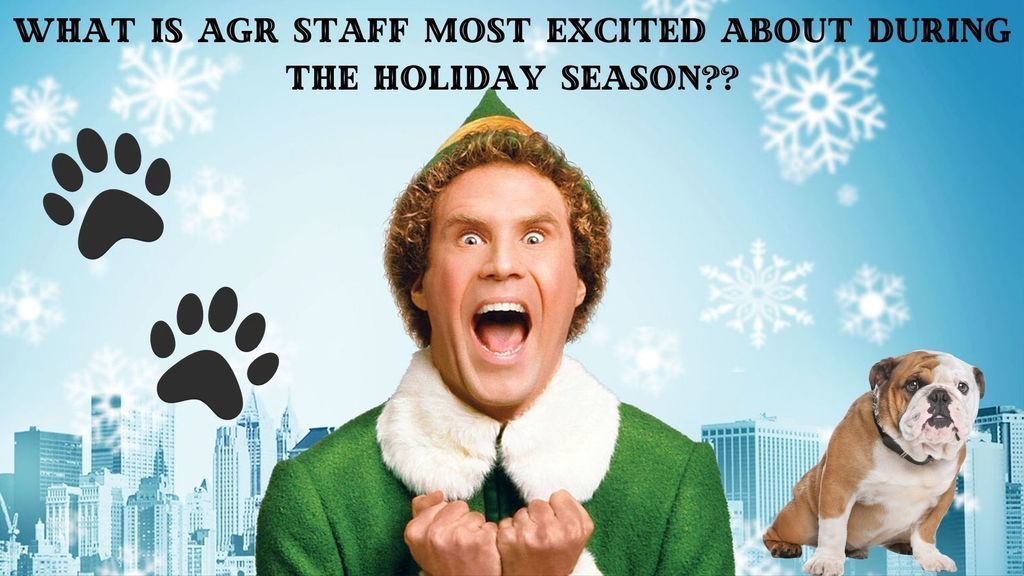Each school day in December, we will post about excitement of our AGR staff around the holidays! Keep tuning in - and don't forget to subscribe to our Instagram channel @ccpsagr!