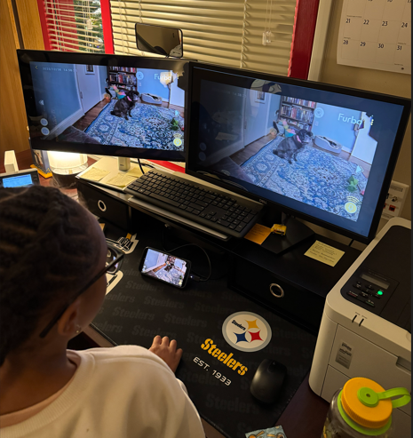 A student sits at a desk with two computer monitors displaying a live Furbo camera feed of a dog indoors. The student watches closely while holding a phone. Steelers-themed desk accessories surround the workspace.