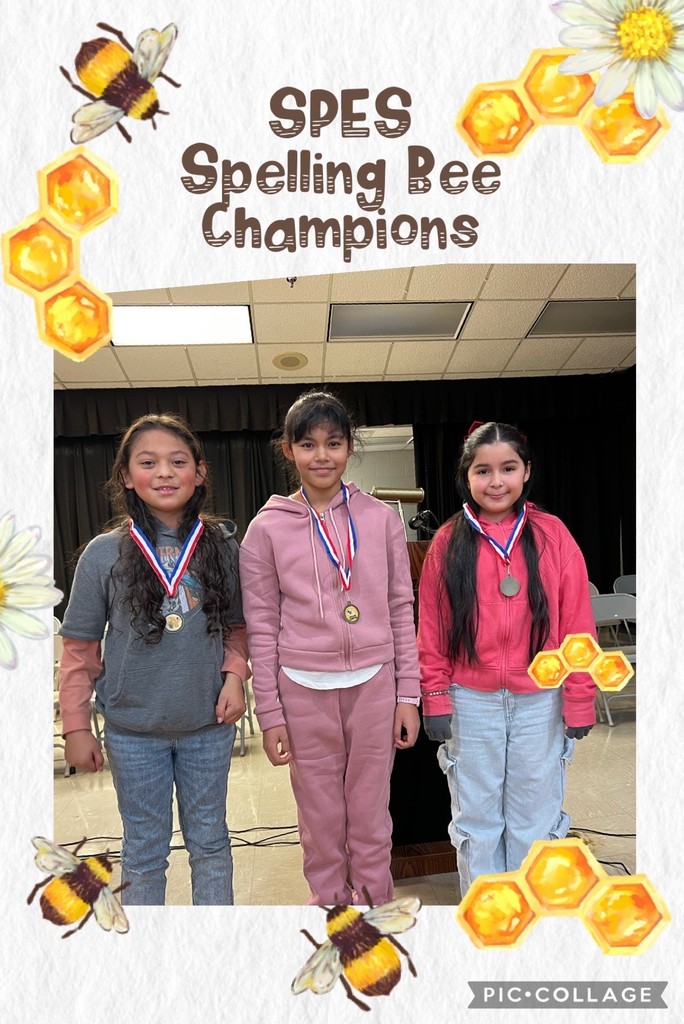 Three elementary spelling bee winners wearing medals stand on a stage, framed by decorative graphics with bees and honeycombs and the text “SPES Spelling Bee Champions.”