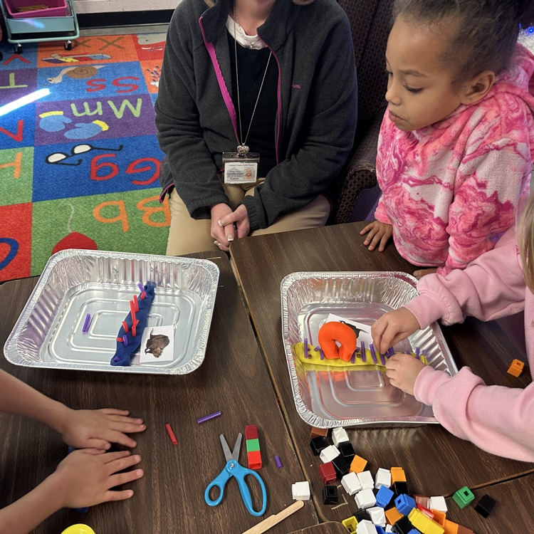 AGR 1st graders in Mrs. Kulesza's class were busy beavers, building dams after learning about habitats and adaptations.  After their timed build, the dams were put to the test!