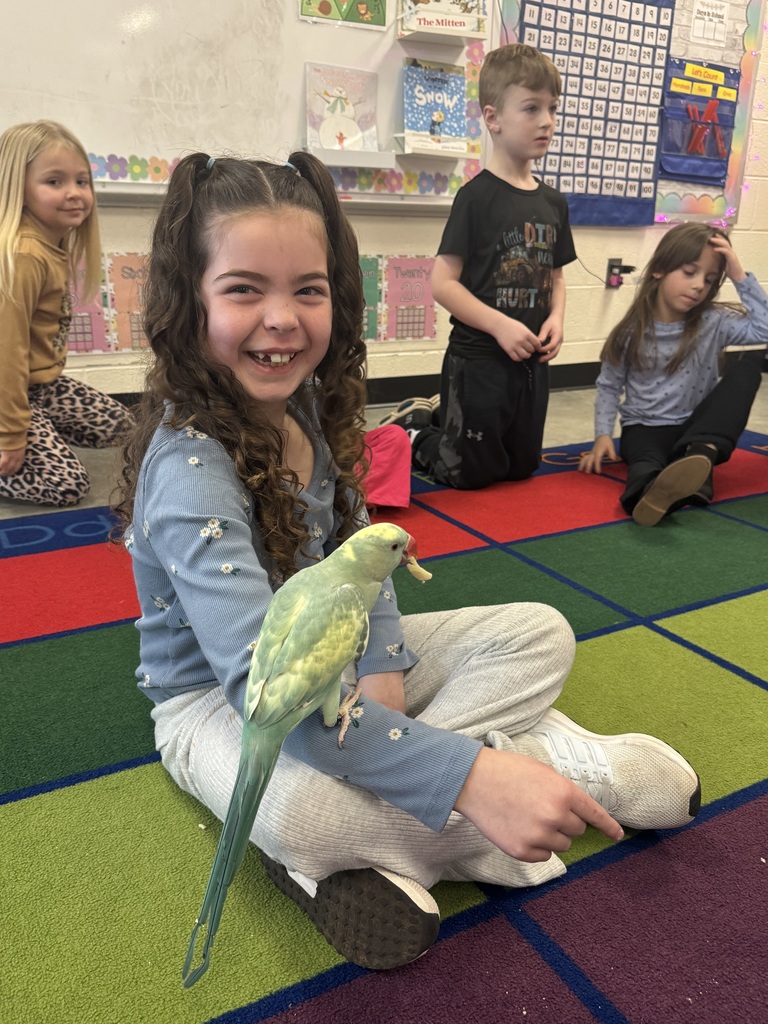 Pictured here is Kammy’s mom, Miss Sarah, brought in Ziggy, an Indian Ringneck parrot, for our letter Z show-and-tell.