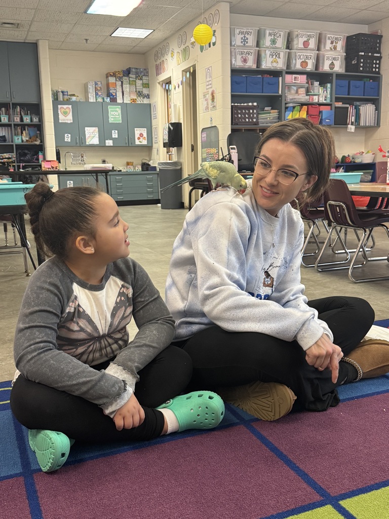 Pictured here is Kammy’s mom, Miss Sarah, brought in Ziggy, an Indian Ringneck parrot, for our letter Z show-and-tell.