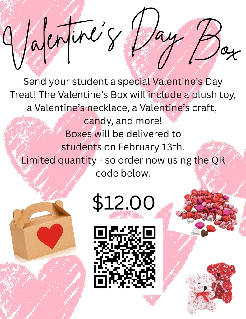 Flyer for a Valentine’s Day Box fundraiser. Pink heart graphics on a white background. Text explains that each box includes a plush toy, Valentine’s necklace, Valentine’s craft, candy, and more. Boxes will be delivered to students on February 13. Limited quantities available. Cost is $12. A QR code is included for ordering.
