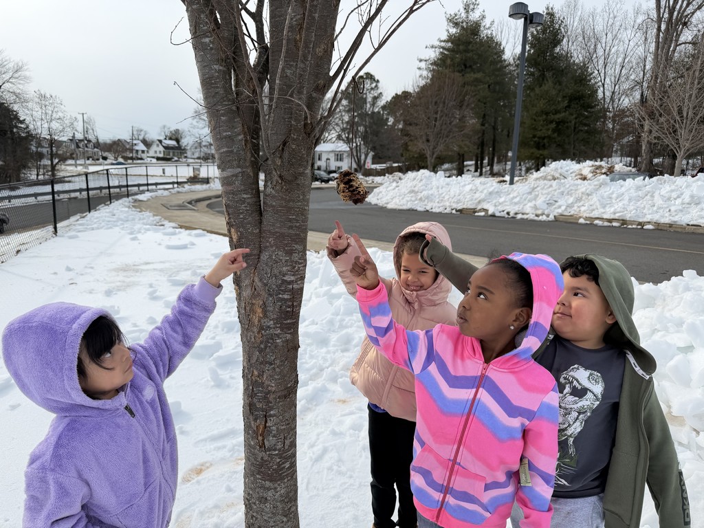 Four children in winter coats stand outside in the snow beside a tree, pointing up and looking at a pinecone bird feeder hanging from a branch. Snowbanks line the road behind them, and houses and trees are visible in the background.