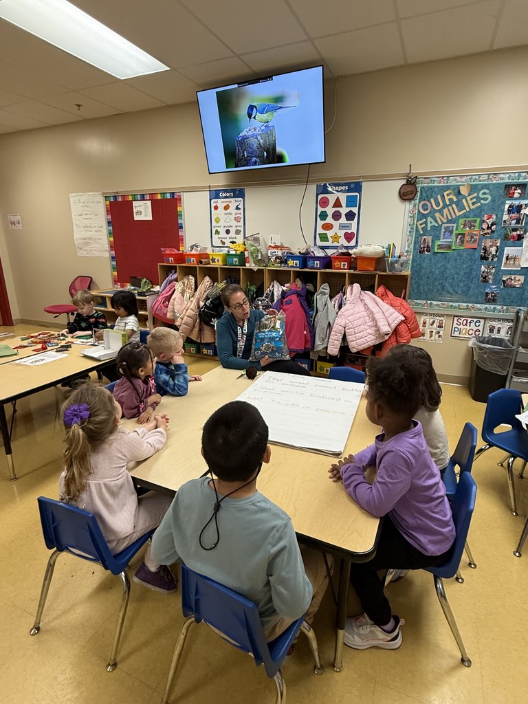 A teacher sits at a classroom table with a small group of young students, holding a bag of birdseed while talking with them. A large chart pad is on the table, coats and backpacks hang in cubbies behind them, and a screen above shows a close-up photo of a bird on a stump.