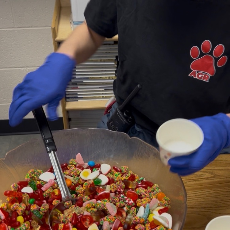mystery reader visit Mrs McFarland’s class