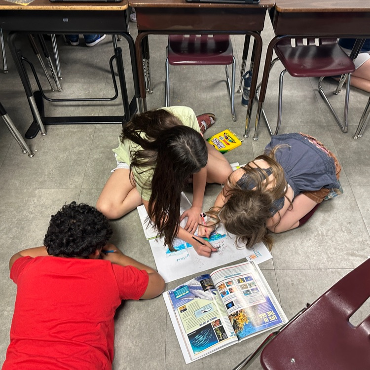 4th graders are up to something - hint: they're "swimming" in work.  Watch for updates on this growing project...