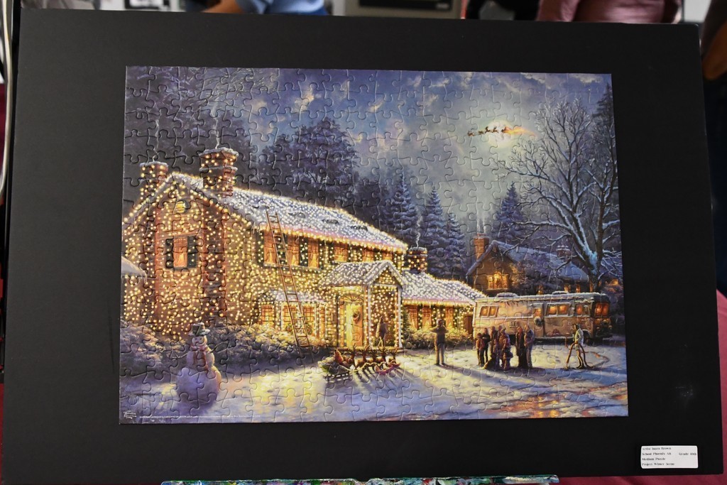 artwork of a house lit up with christmas lights