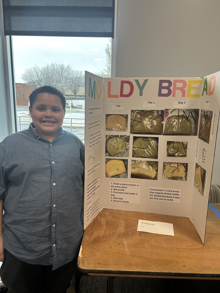 A student stands next to a tri-fold science fair display titled “Moldy Bread.” The project shows photos of slices of bread over several days to observe mold growth, with labeled images and steps of the experiment. A conclusion on the board notes that organic bread molded the fastest. The display is set on a table in a classroom or event space with a window in the background.