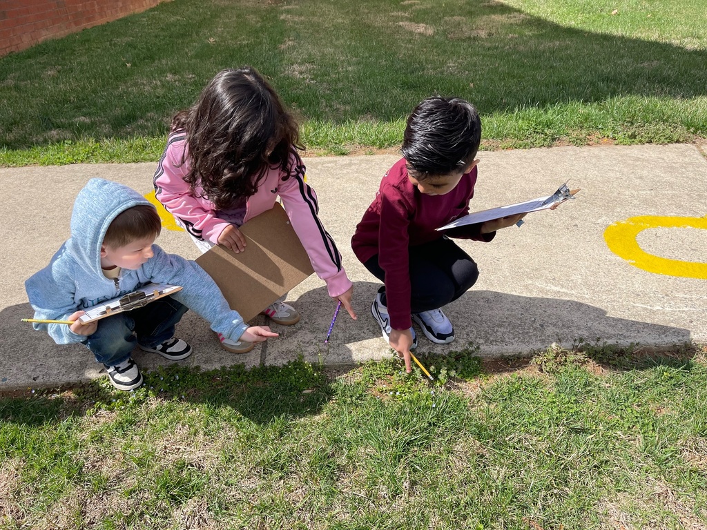 Three students crouch on a sidewalk, pointing at small plants growing along the edge of the pavement while holding clipboards and pencils.