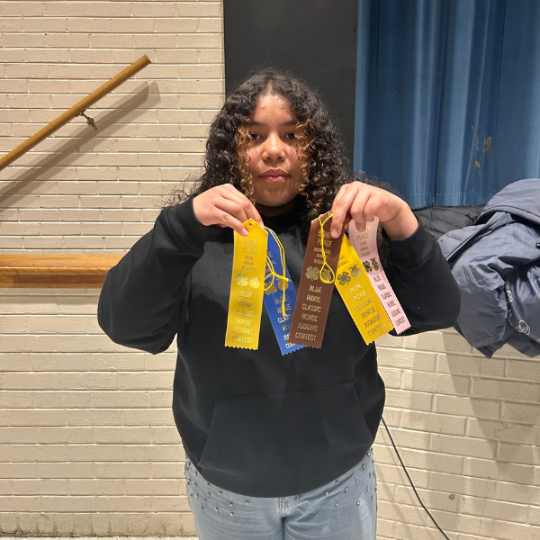 A student stands indoors holding multiple award ribbons, including a first-place ribbon, from the Blue Ridge Classic Horse Judging contest.