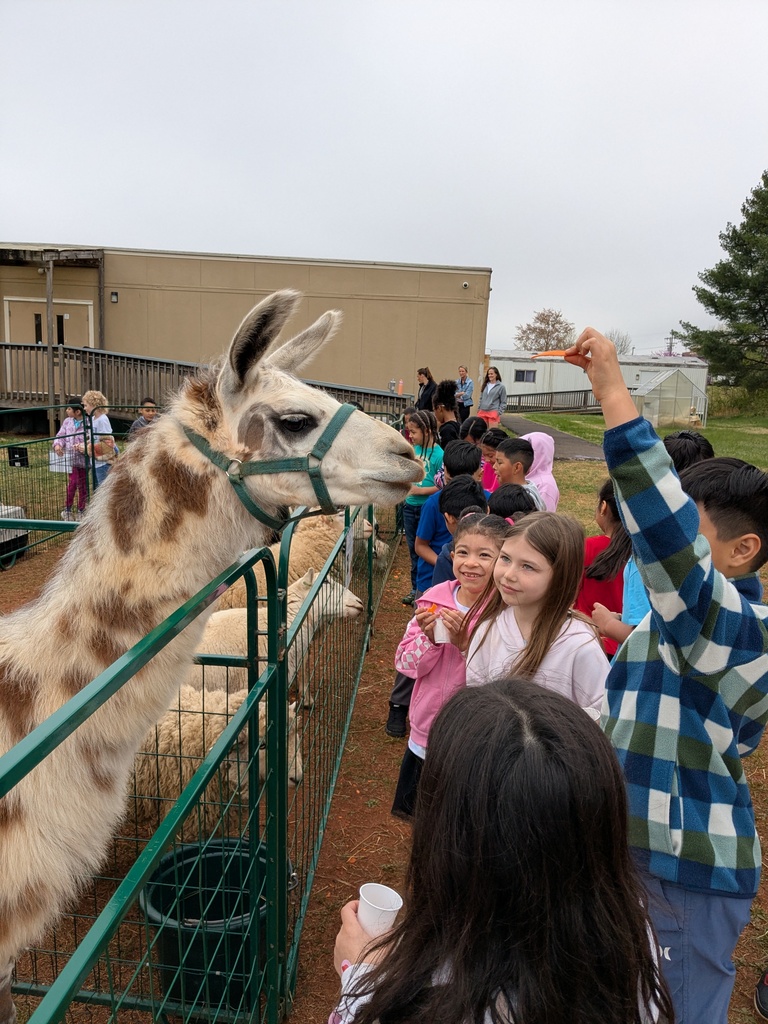 Students stand along a fenced enclosure feeding a llama with small pieces of food while others watch and smile outside a school building.