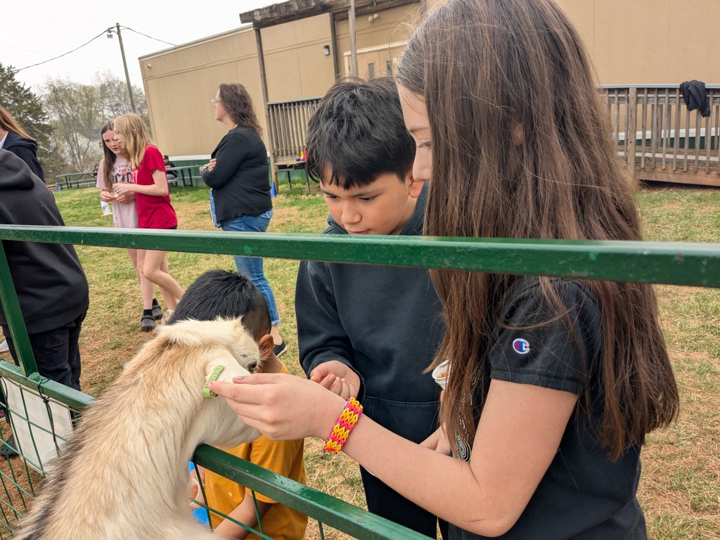 Two students feed a small goat through a fence while focusing closely on the animal, with other students and staff nearby.