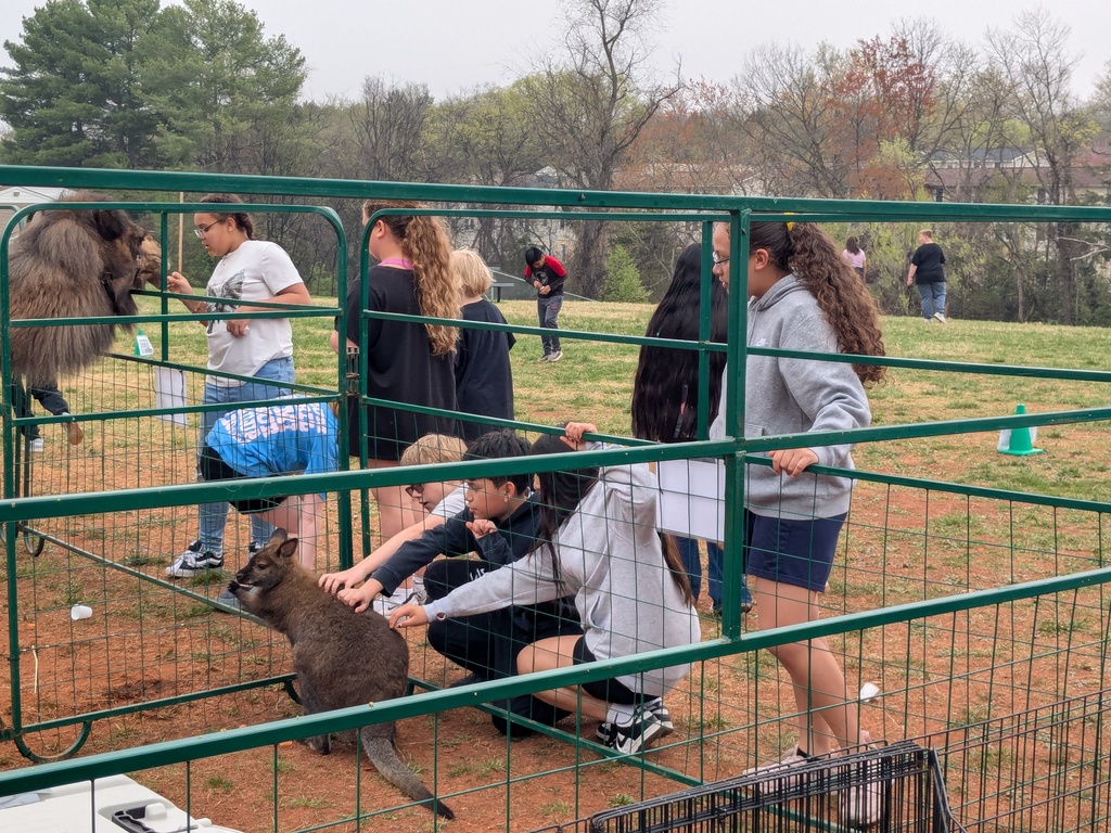 Students kneel and reach into a fenced area to pet a small animal while others stand nearby observing during the petting zoo activity.