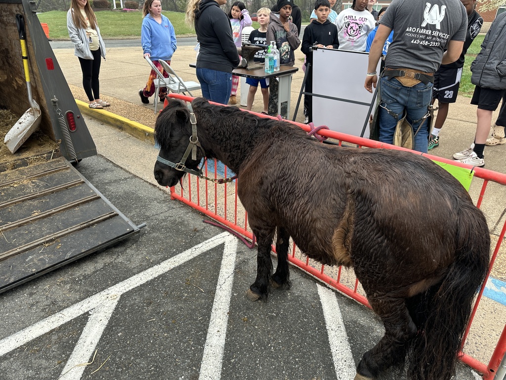 A close-up outdoor scene showing a small horse or pony standing beside a trailer ramp, with students gathered around observing. Tools and equipment are visible nearby.