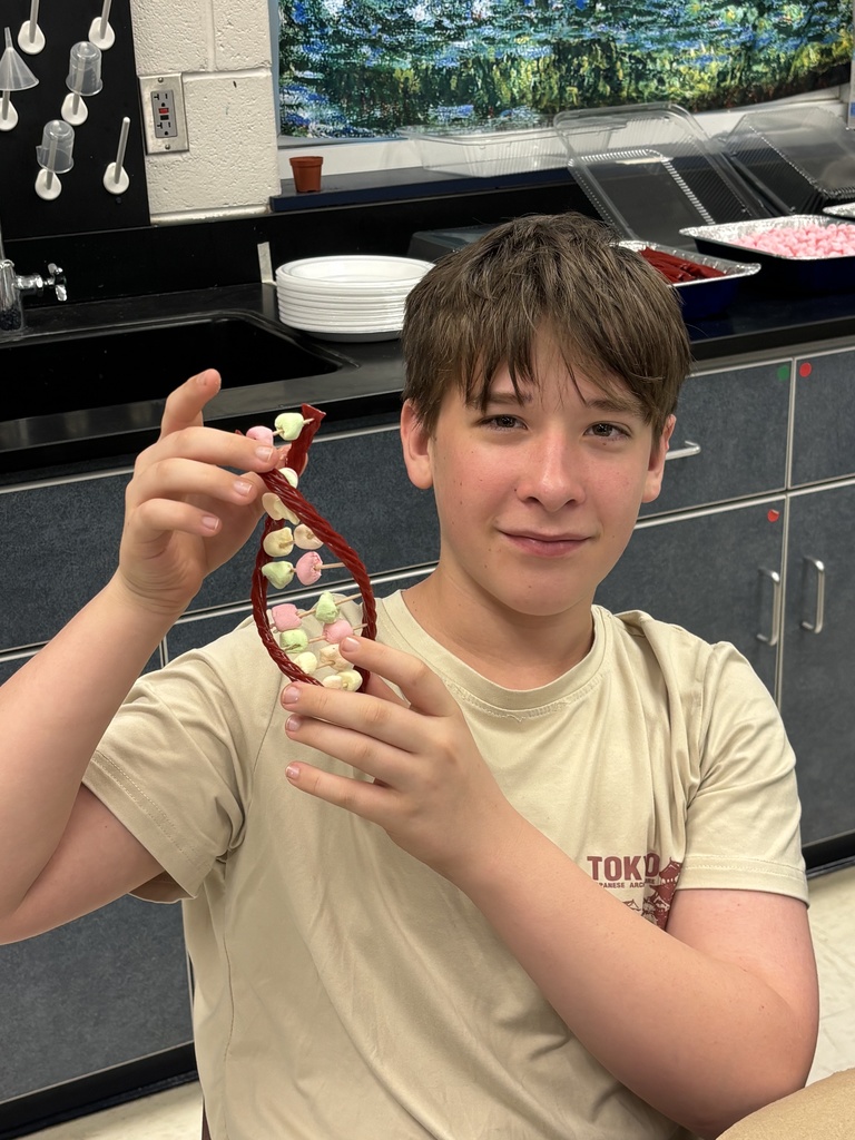 A student smiles while holding a completed candy DNA model, showing the twisted double helix structure made from licorice and marshmallows.