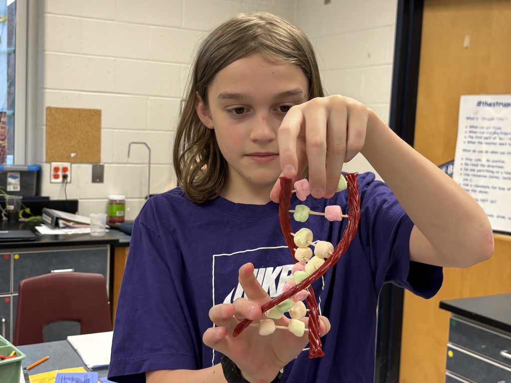 A student holds up a model of a DNA double helix made from candy, including licorice and marshmallows, in a science classroom.