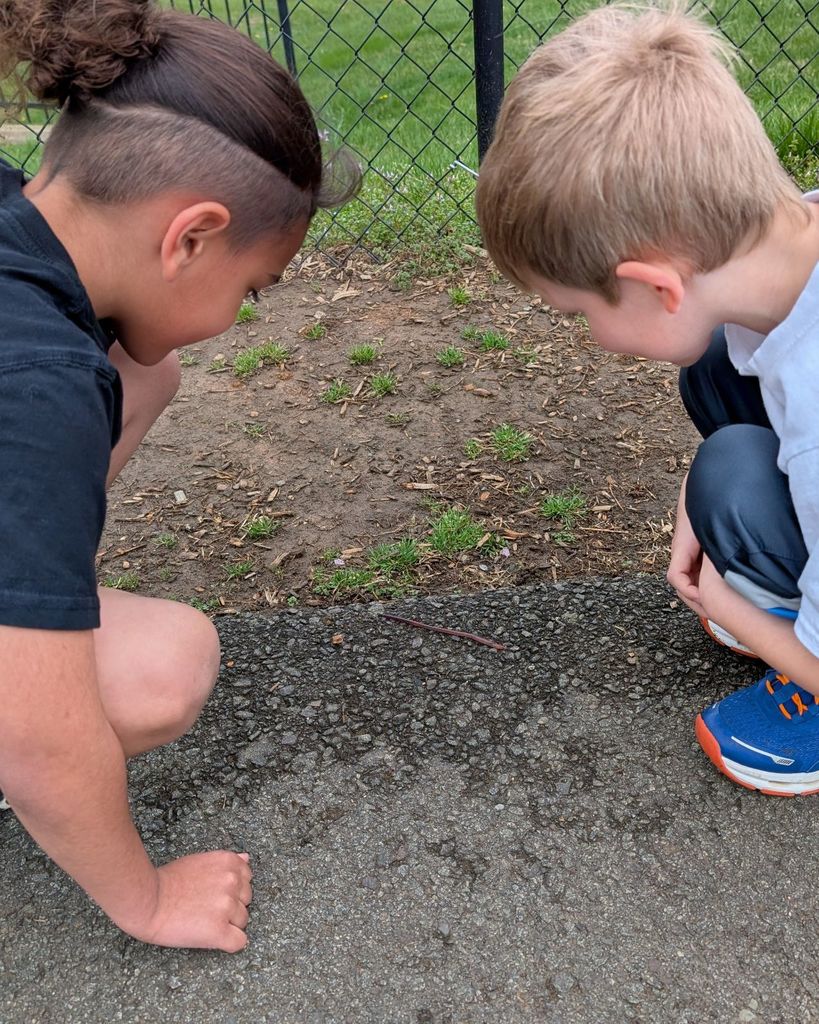 Two students crouch near the edge of a sidewalk, looking closely at something on the ground.