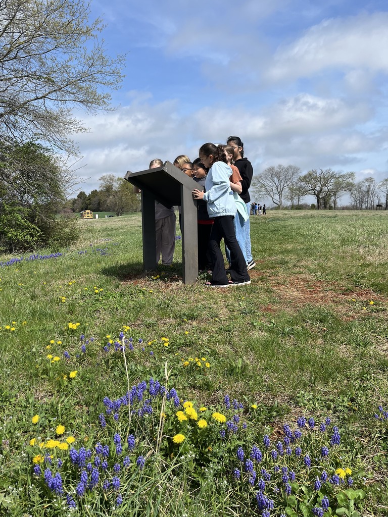 Students stand at an outdoor historical site, reading a sign and pointing toward a large tree in an open field under a partly cloudy sky.