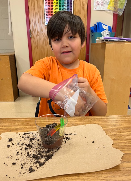 A student in an orange shirt scoops soil from a plastic bag into a clear cup, with dirt spilled slightly on the desk during the activity.