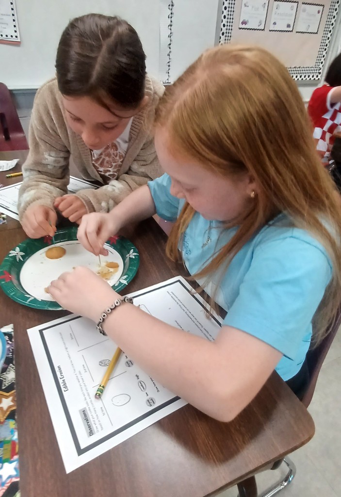 Two students sit side by side at a desk, using toothpicks to examine pieces of a cookie on a paper plate. A worksheet and pencil are in front of them as they work together on a classroom activity.