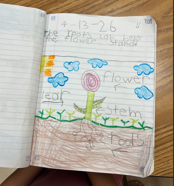 A notebook page displays a drawing of a flower with labeled parts and a sentence explaining that roots help the flower stand.