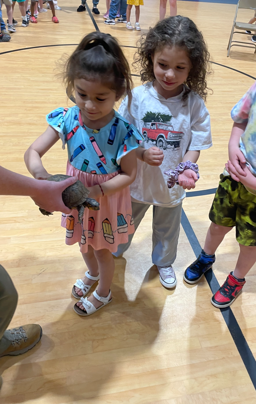Three children stand together as one carefully touches a turtle while another holds a small toy, all watching closely.