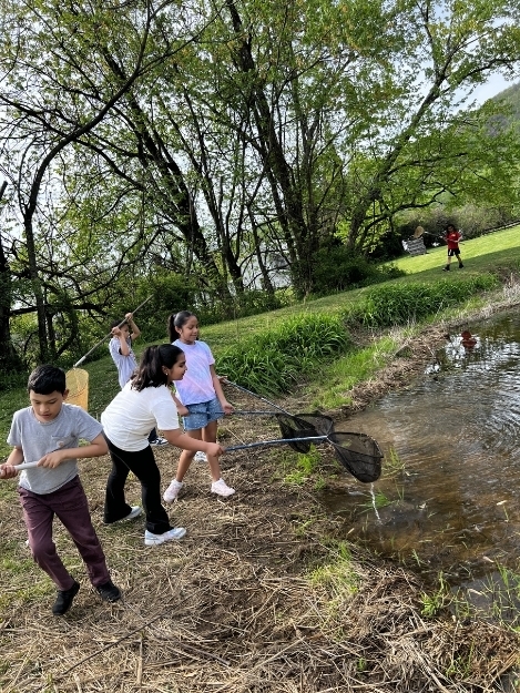 A group of students stand near a shallow creek, looking into the water and along the grassy bank. Trees and greenery surround the area.