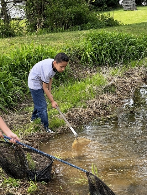 A student uses a net to scoop water from a shallow creek while standing on the grassy edge. Another student stands nearby observing.