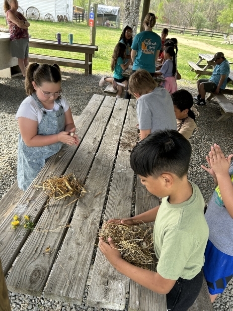Children gather around a picnic table outside, examining natural materials such as sticks and grass placed on the table. Other students and adults are visible nearby.