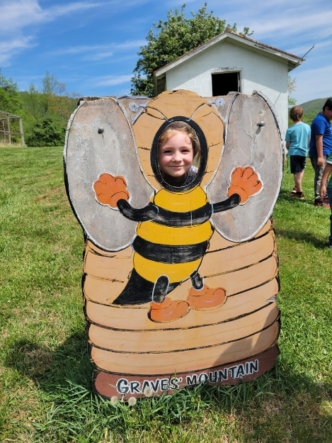 A child smiles while posing with their face inside a painted wooden cutout shaped like a bee, with wings and a striped body, set outdoors on grass.