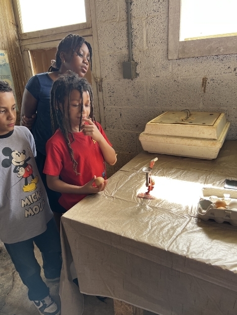 Three children stand indoors near a table, watching a small object placed upright on the tabletop. Light from windows illuminates the room.