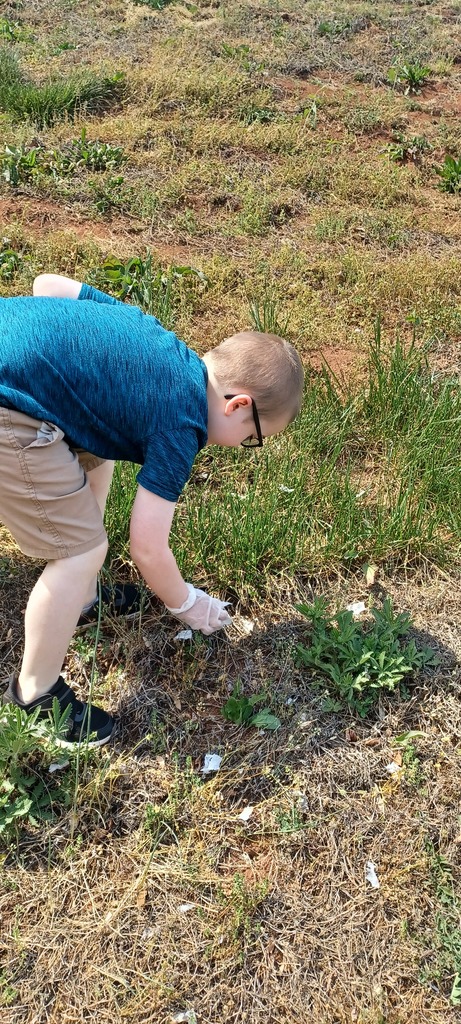 A child wearing gloves bends down to pick up litter from a grassy area during an outdoor cleanup event.