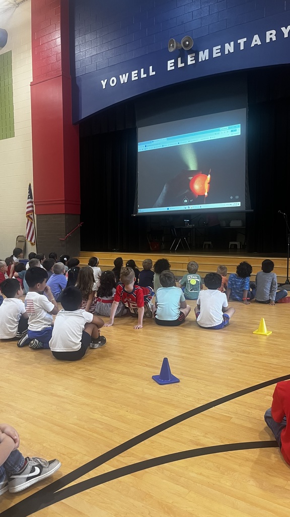 A large group of students sits on a gym floor facing a stage, watching a projected image of an egg being candled on a screen under a “Yowell Elementary” sign.
