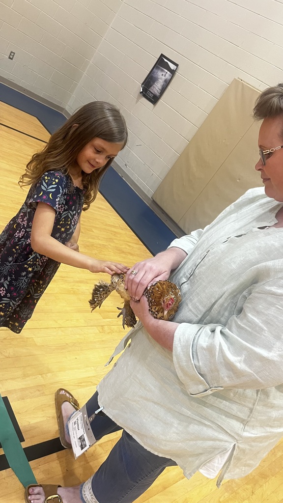 A student gently reaches out to touch a small chicken being held by an adult in a gymnasium. The adult supports the bird while the student observes closely.